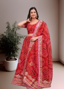 Rajshthani Lehenga & Chaniya Choli For Spacial Function