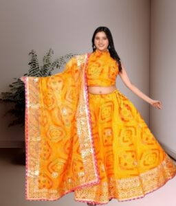Jaipuri Net Lehenga C holi